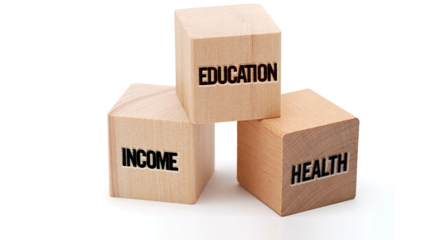 building blocks labeled education, income, health